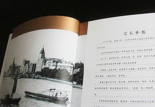 金融投資公司畫冊(cè)設(shè)計(jì) 金融投資畫冊(cè)設(shè)計(jì) 金融投資品牌設(shè)計(jì) 金融投資vi設(shè)計(jì)